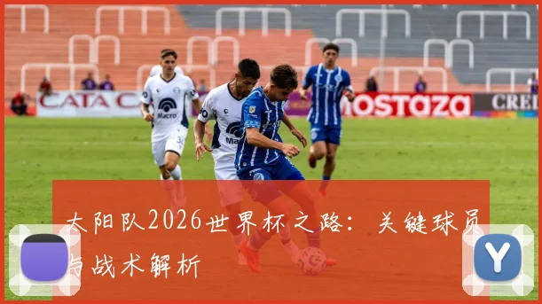 太阳队2026世界杯之路：关键球员与战术解析