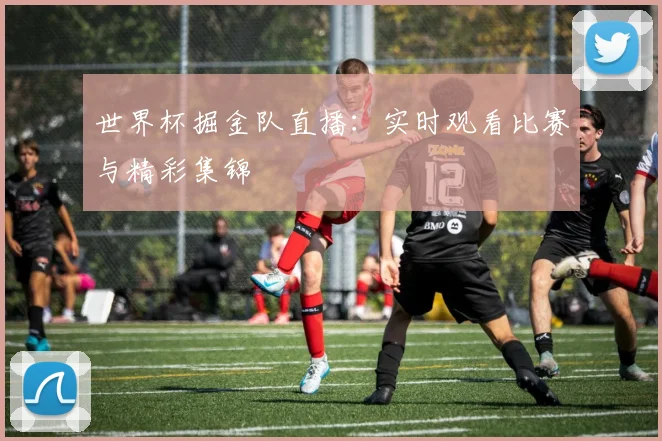 世界杯掘金队直播：实时观看比赛与精彩集锦